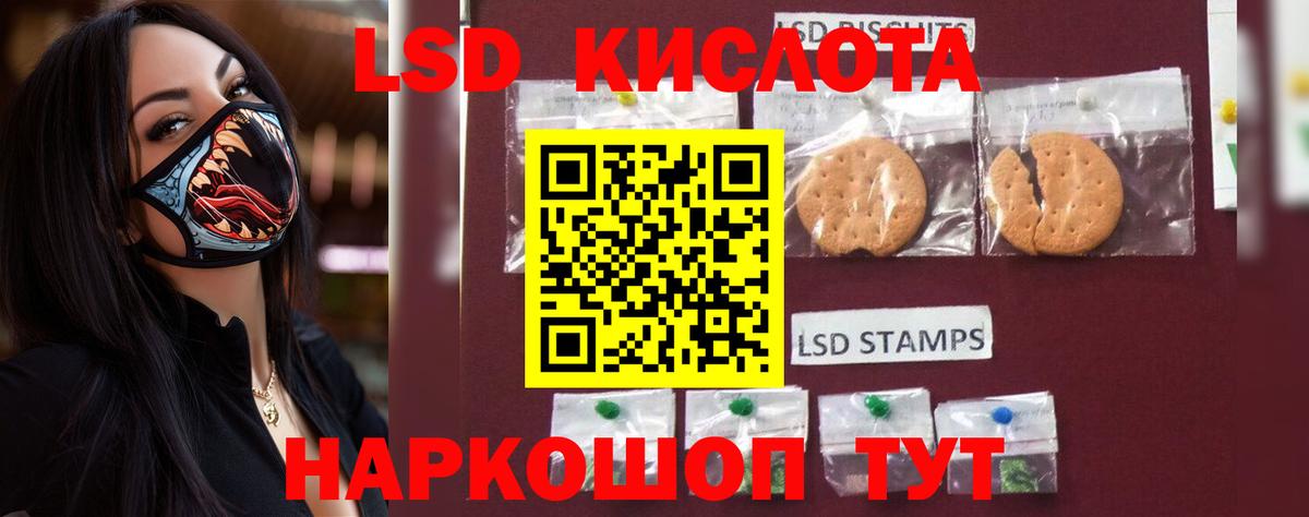 LSD-25 экстази кислота  LSD-25 экстази кислота  Вход с VPN  Элиста 