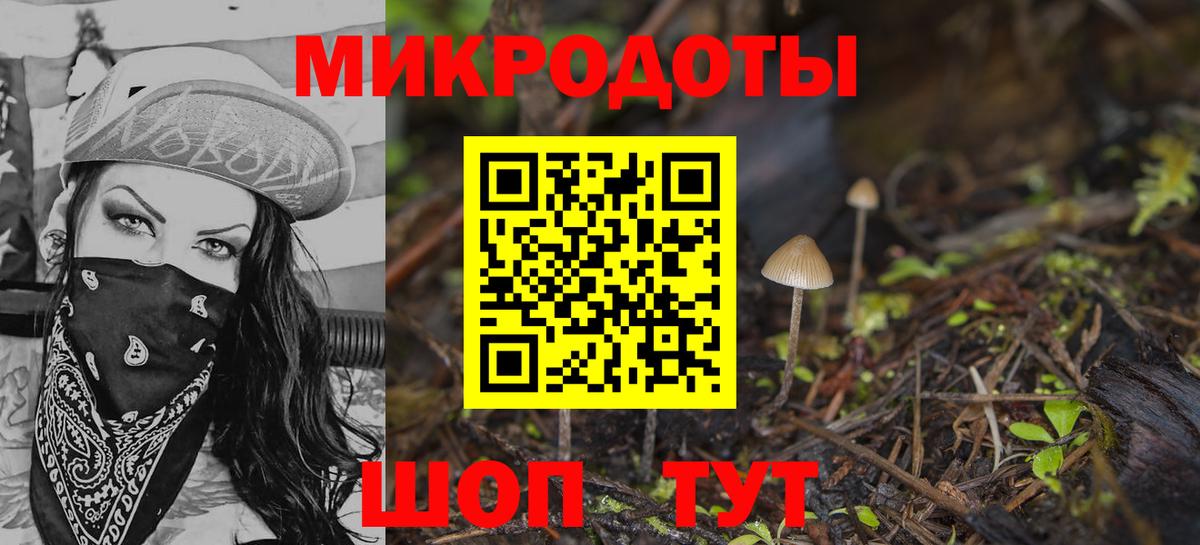 цена наркотик  Вход с VPN  Элиста  Галлюциногенные грибы MAGIC MUSHROOMS 