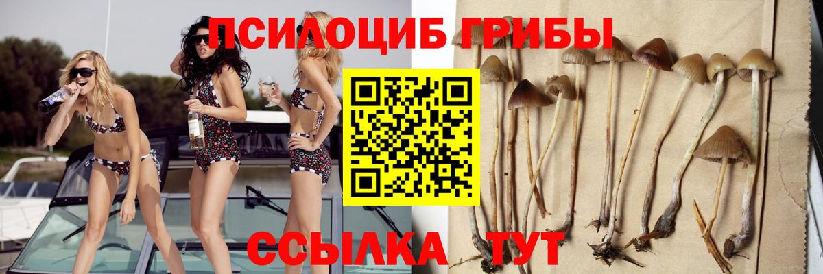 Псилоцибиновые грибы Magic Shrooms Элиста